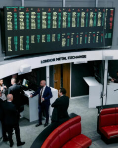 Photo_2025-11-11_14-06-33